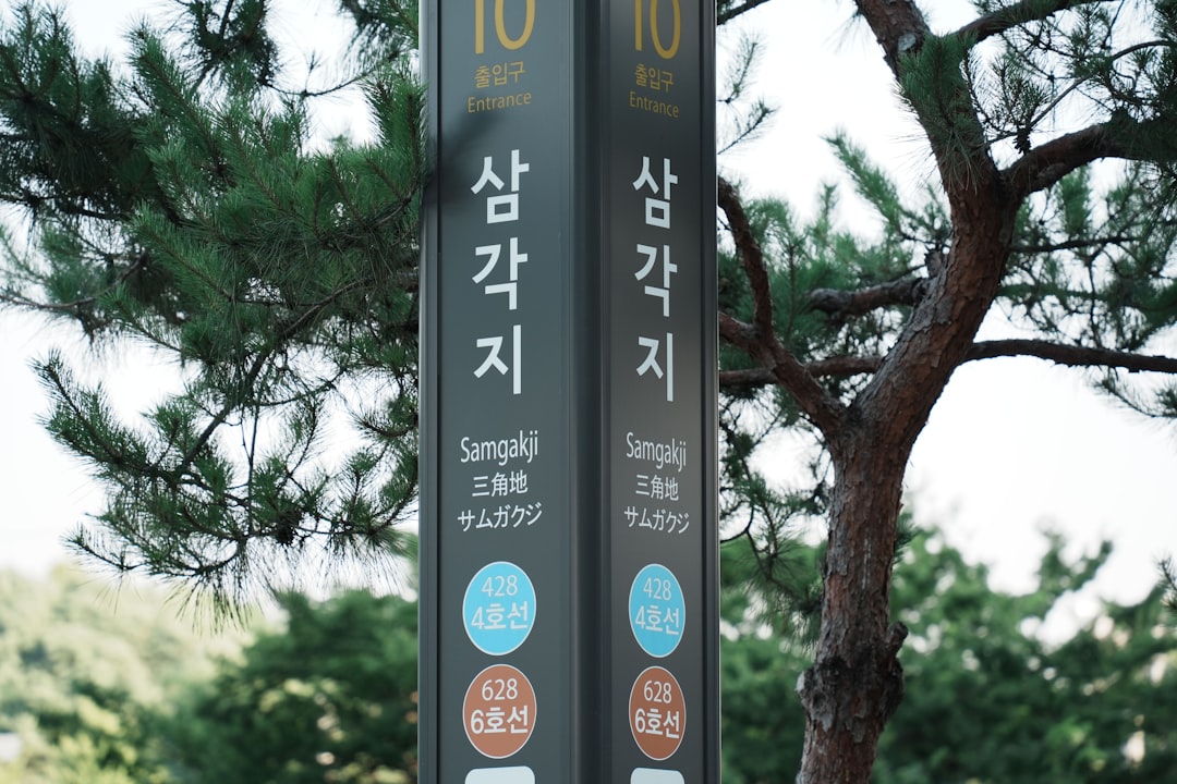 A street sign in korean is visible.