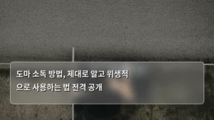 도마 소독 방법, 제대로 알고 위생적으로 사용하는 법 전격 공개