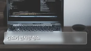 건조기 먼지망 청소, 제대로 알고 관리하면 삶의 질이 올라간다