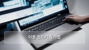 이불 진드기 제거법 총정리: 뽀송하고 건강한 숙면을 위한 완벽 가이드