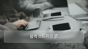 최신 음악 스트리밍 앱, 나에게 맞는 최적의 사운드를 찾는 방법