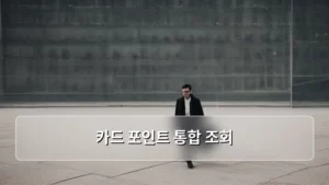 카드 포인트 통합 조회, 내 돈 찾아 쓰는 똑똑한 방법 총정리