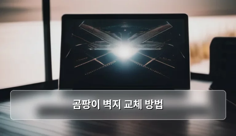 곰팡이 벽지 교체 방법 및 결로 방지 가이드