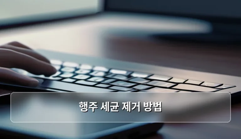 행주 세균 제거 방법 및 위생적인 관리 가이드