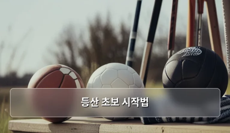 등산 초보 시작법과 안전한 산행 준비 가이드