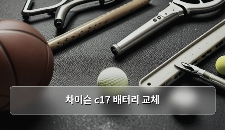 차이슨 c17 배터리 교체 시기와 안전한 관리 방법
