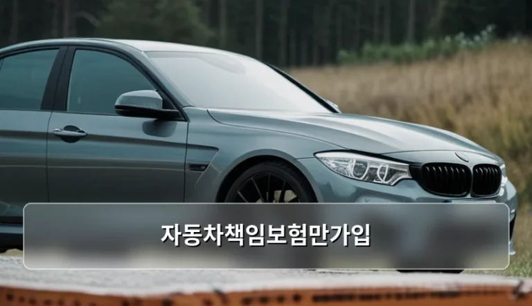 자동차책임보험만가입 시 보장 범위와 주의사항 정리