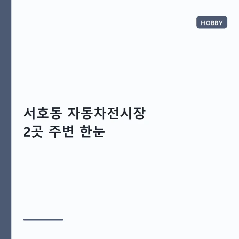 서호동 자동차전시장 2곳 주변 한눈에 보는 이용 가이드