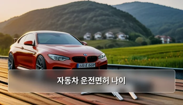 자동차 운전면허 나이 기준과 취득 절차 가이드